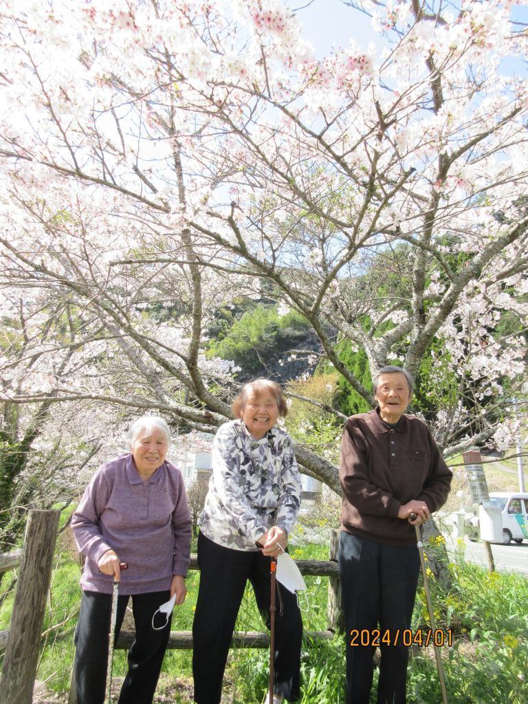 桜の前で素敵な笑顔［img-02］