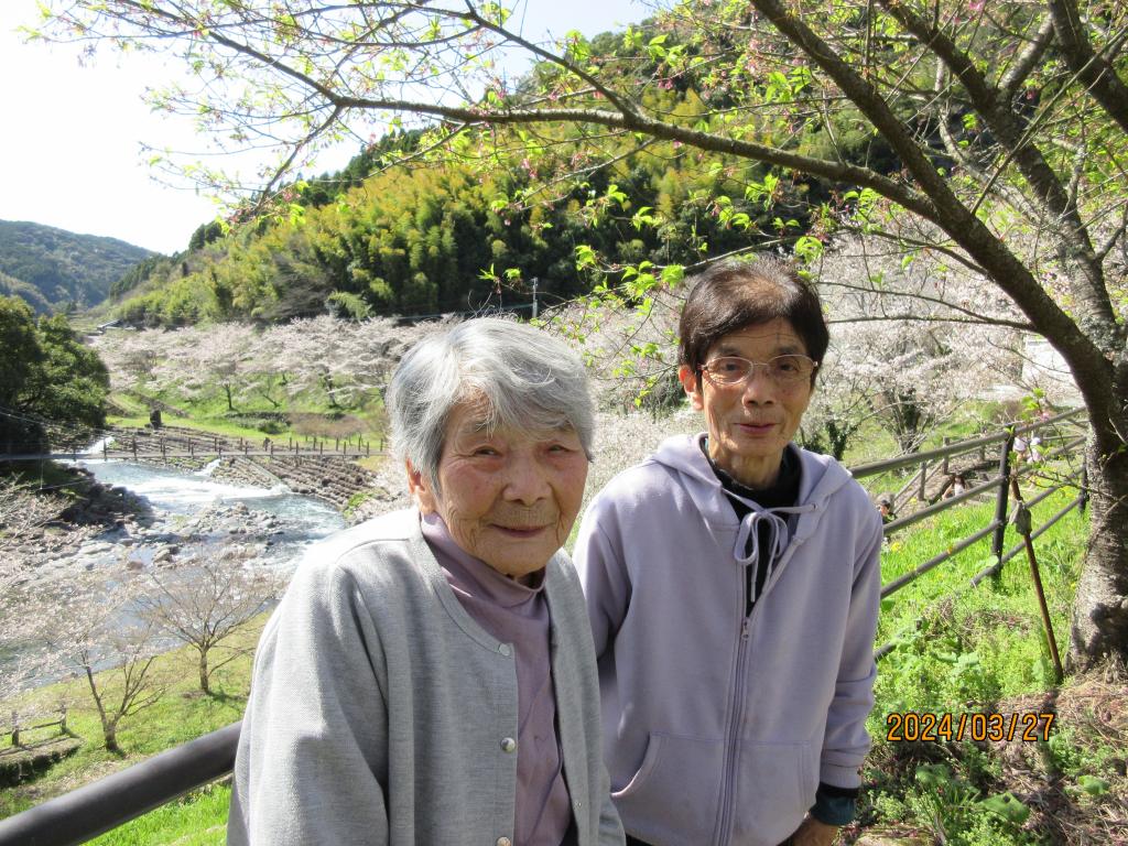 天気も良く花見日和［img-03］